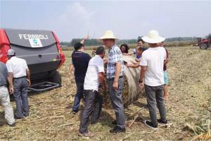 4马斯奇奥公司参与武汉市玉米收获及秸秆综合利用演示会