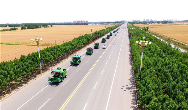 鲁西万亩托管小麦收割季 粮满仓金满地_农机