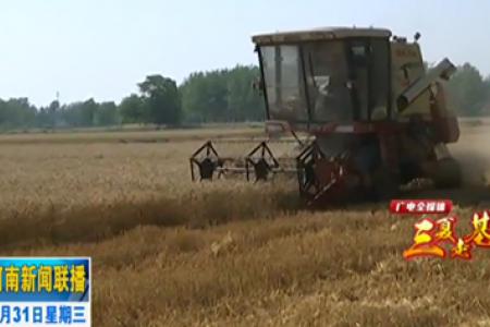 河南：农机会战 麦收过三成