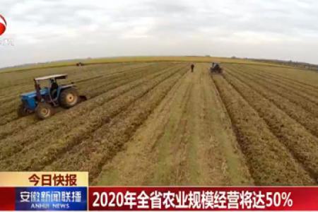 2020年安徽农业规模经营将达50%
