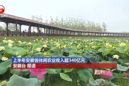 上半年安徽省休闲农业收入超340亿元
