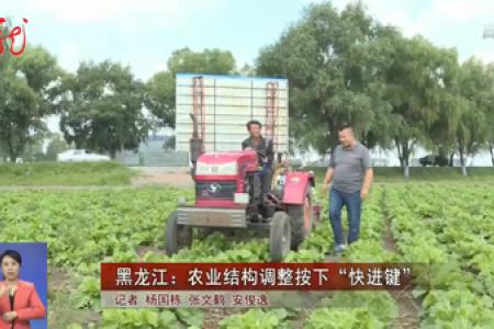 黑龙江：农业结构调整按下“快进键”