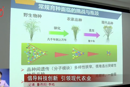 黑龙江：倡导科技创新 引领现代农业