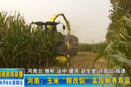 河南：玉米“粮改饲”实现种养双赢