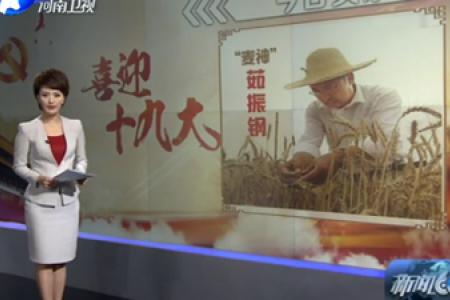 茹振刚：让中国小麦育种引领世界潮流