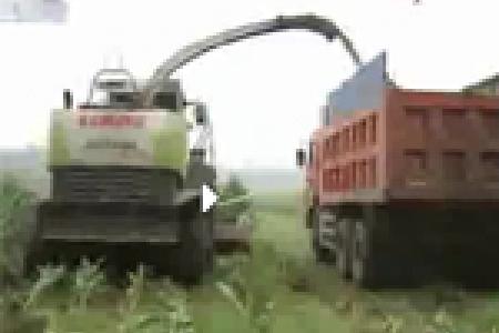 青贮玉米收割机的安全使用(5)