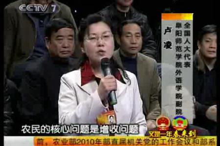 两会代表议三农：三农问题的核心就是如何解决农民的增收问题