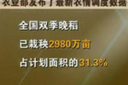 农业部：全国早稻收获近七成 晚稻栽秧全面展开