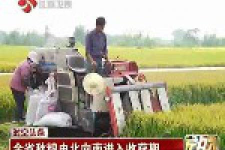 江苏省秋粮由北向南进入收获期