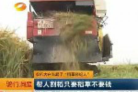 湖南省农机大户当起了“稻草经纪人”：帮人割稻只要稻草不要钱