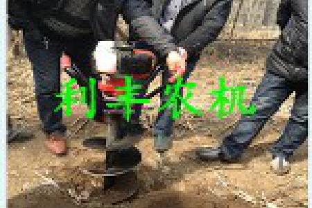 利丰大动力挖坑机 种树挖坑机厂家 植树挖坑机图片
