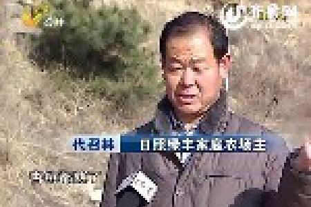 家庭农场主代召林的新年新生活