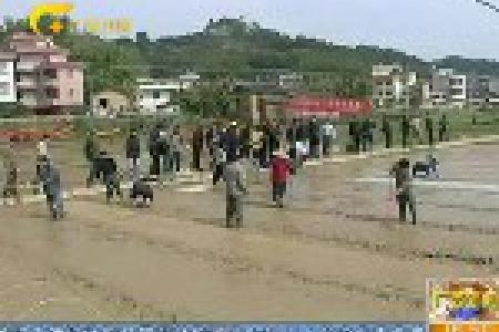 广西：人勤春来早 各地备耕备播闹春耕