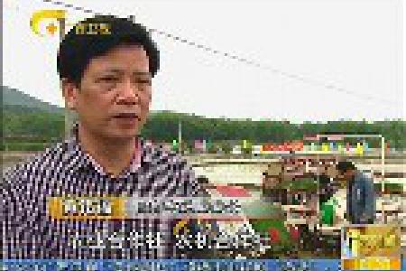 小块并大块 广西农业全程机械化生产必由之路