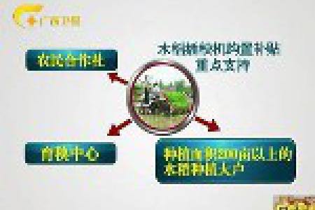 广西2014年水稻插秧机购置补贴 重点支持三类主体