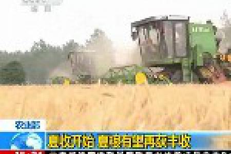 农业部：夏收开始 夏粮有望再获丰收