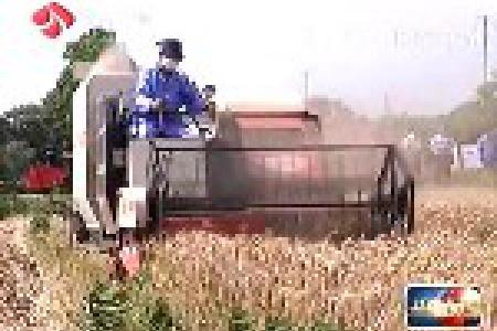 江苏省迎来大范围强降雨天气 三夏工作受到影响 各地加强田间管理