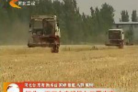 河北百万台农机投入三夏生产