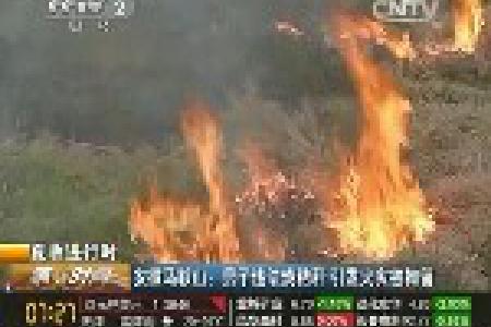 安徽马鞍山男子违法烧秸秆引发火灾被拘留