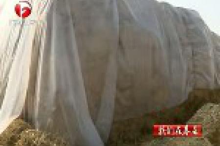 新闻特写：回收加还田 破解秸秆利用难题