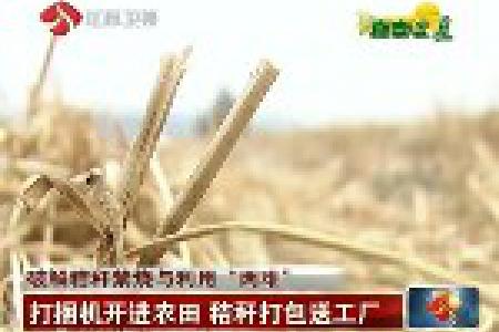 江苏破解秸秆禁烧与利用“两难”