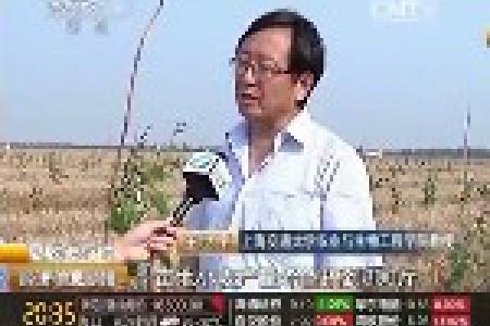 河南科学种植 种粮大户实现效益“三级跳”