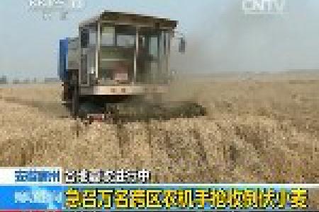 安徽宿州：急召万名跨区农机手抢收倒伏小麦