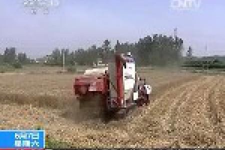各地夏收进行中 新闻特写：传统的手工麦客