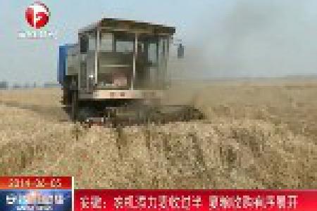 安徽农机添力麦收过半 夏粮收购有序展开