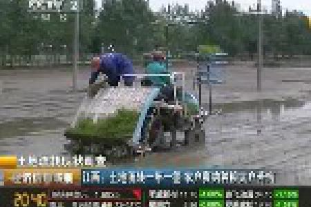 江西：土地流转一年一签 农户爽约 种粮大户苦恼