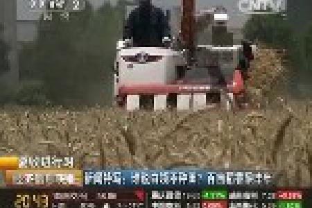 谁说白领不种田？百亩稻香酿丰年