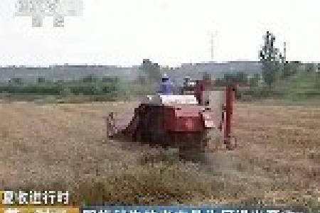 夏收进行时：即将消失的老农具为何退出夏收？