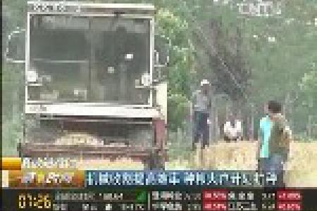 全国麦收过七成 种粮大户唱主角