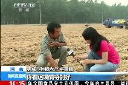 全国麦收过八成 夏种进入高峰