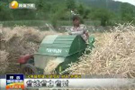 山城留坝首现油菜脱粒机 高效率助力三夏生产