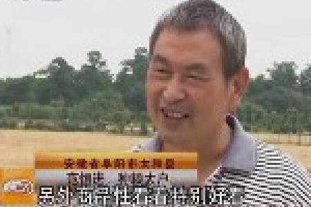 夏收了，为何闹心事多了