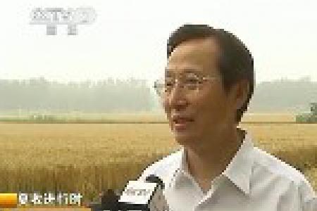 韩长赋：今年冬小麦继续增产 夏粮丰收已成定局