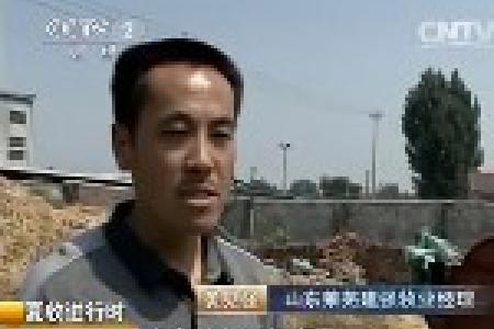 小麦秸秆变身饲料能源 农民企业都受益