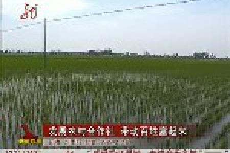 发展农村合作社 带动百姓富起来