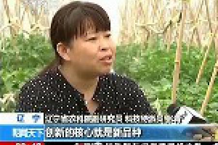 “育种女王”的现代农业梦