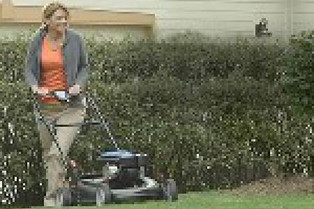 New QPT Quiet Lawn Mower Engine- 百力通QPT草坪发动机