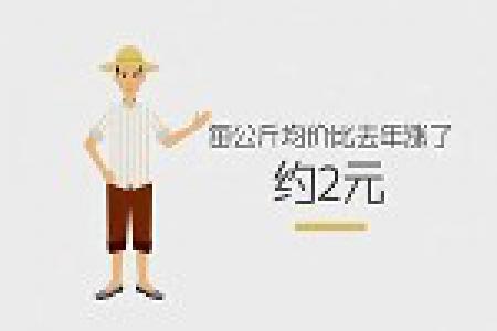 麦收经纪人的“战争”
