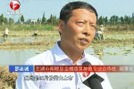 青海省经营新主体对接新农技 助推现代农业发展