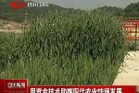 四川省用资金技术助推现代农业快速发展