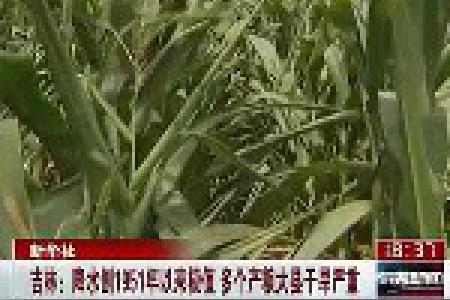 吉林：降水创1951年以来极值 多个产粮大县干旱严重