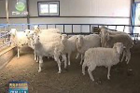 青海省人大专题调研现代农业发展情况