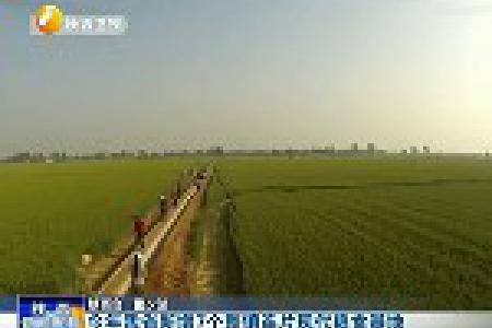 陕西省今年新增7个整镇连片现代粮食基地