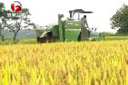 中央下达安徽第二批5.4亿元农机购置补贴资金