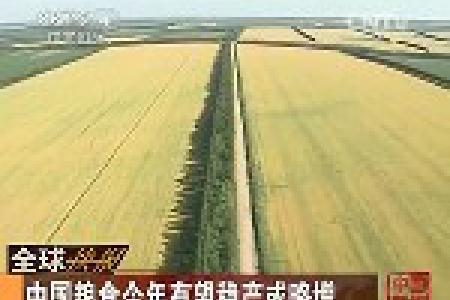 中国粮食今年有望稳产或略增