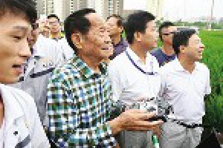 科技时代 超级稻添新武器 无人机当红娘为水稻授粉